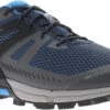 Inov-8 Roclite G 315 GTX V2 Schoenen Heren, Grijs/blauw