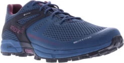Inov-8 Roclite G 315 GTX V2 Schoenen Dames, Blauw