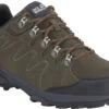 Jack Wolfskin Refugio Texapore Low Shoes Men, Bruin
