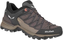 SALEWA MTN Trainer Lite GTX Schoenen Dames, Bruin/oranje