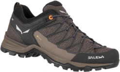 SALEWA MTN Trainer Lite GTX Schoenen Heren, Bruin/oranje