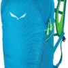 SALEWA Ultra Train 14 Rugzak, Blauw