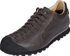 Scarpa Mojito Basic GTX Schoenen Heren, Bruin